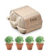 Egg carton growing kit-beige-Tasmania-australia-1