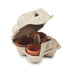 Egg carton growing kit-beige-Tasmania-australia-2