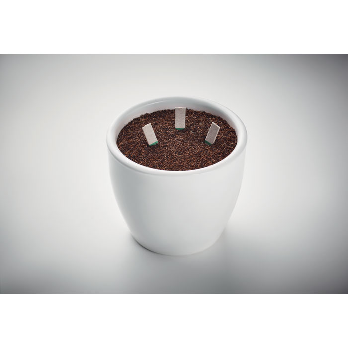 Herb seeds sticks-Beige-Tasmania-australia-3