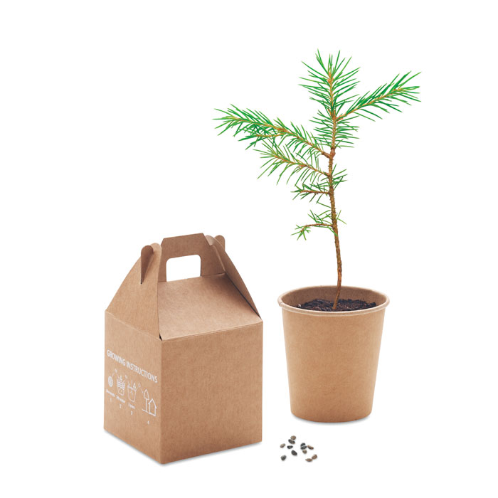 personalized-Pine tree set-Beige-Tasmania-australia