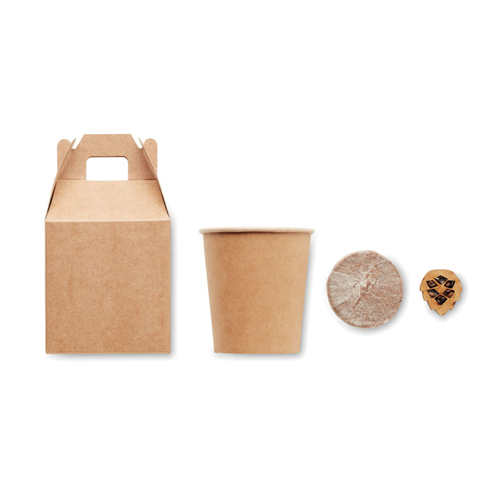 personalized-Pine tree set-Beige-Tasmania-australia