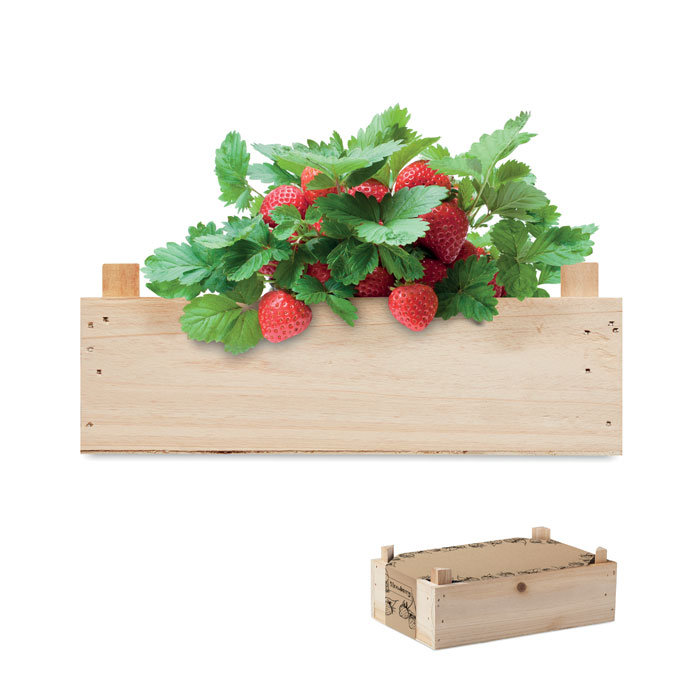 Strawberry kit in wooden crate-Wood-Tasmania-australia-1