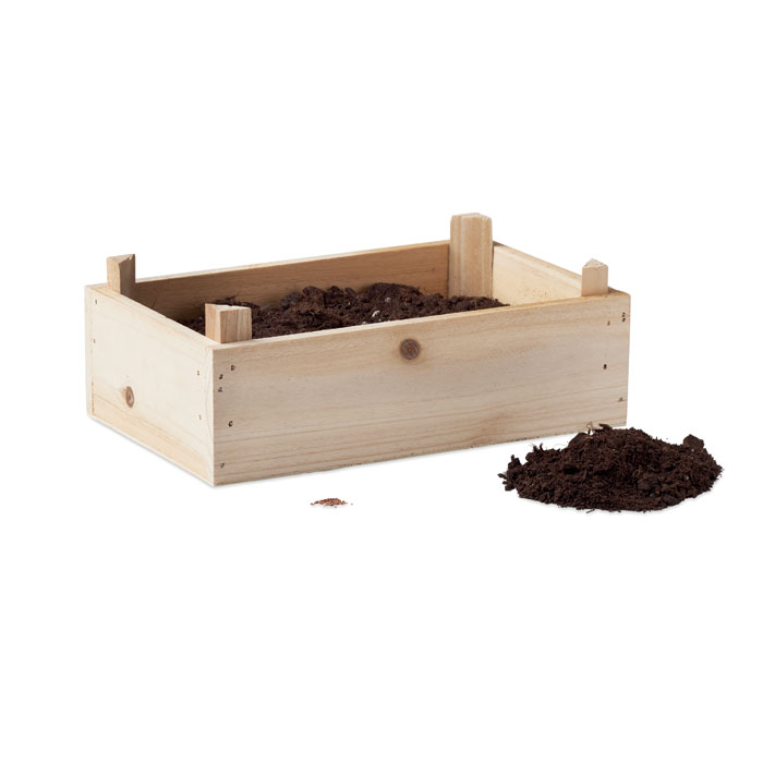 Strawberry kit in wooden crate-Wood-Tasmania-australia-2