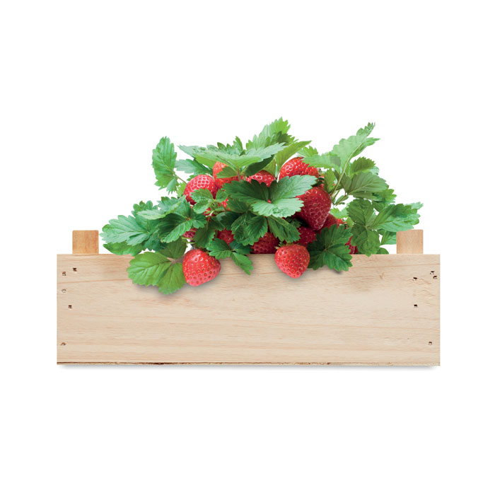Strawberry kit in wooden crate-Wood-Tasmania-australia-3