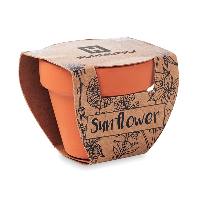 personalized-Terracotta pot Sunflower - wood - Tasmania- Australia