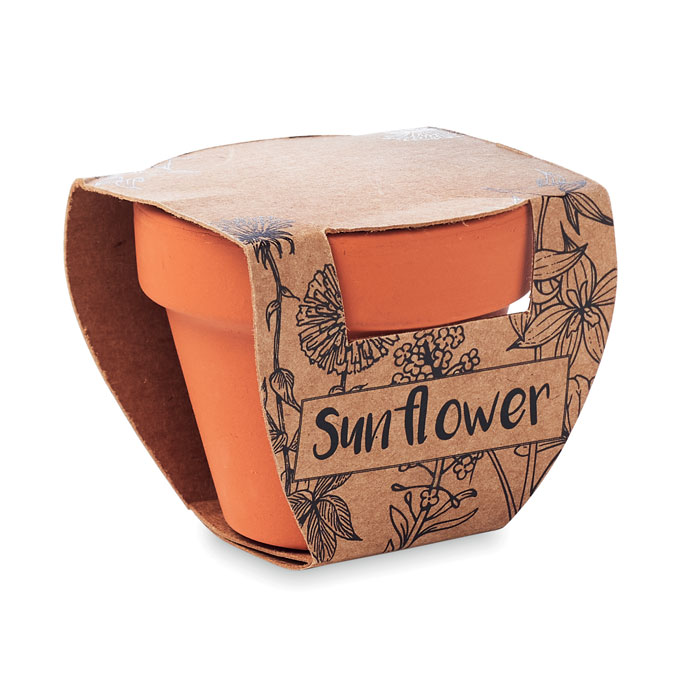 personalized-Terracotta pot Sunflower - wood - Tasmania- Australia