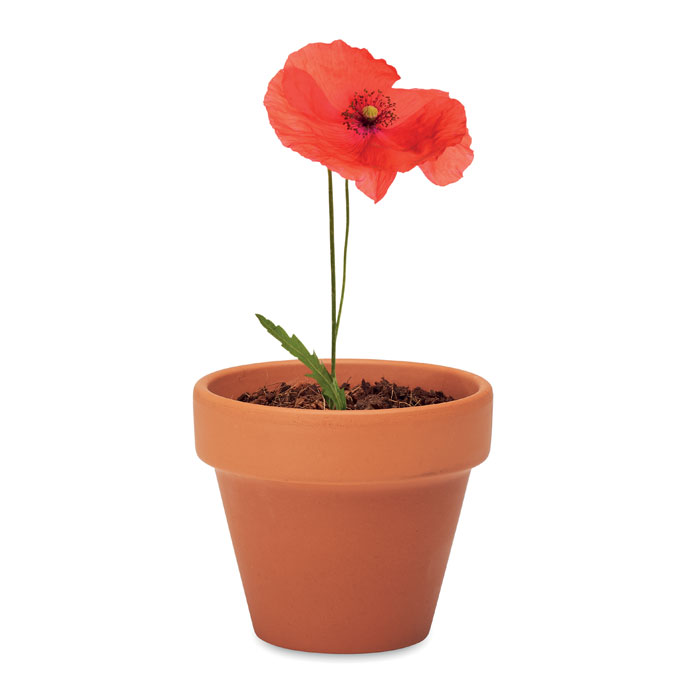 personalized-Terracotta pot poppy-Wood-Tasmania-australia