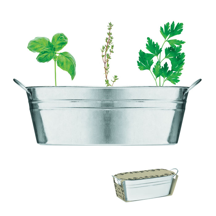 Zinc tub with 3 herbs seeds-MATT SILVER-Tasmania-australia-1