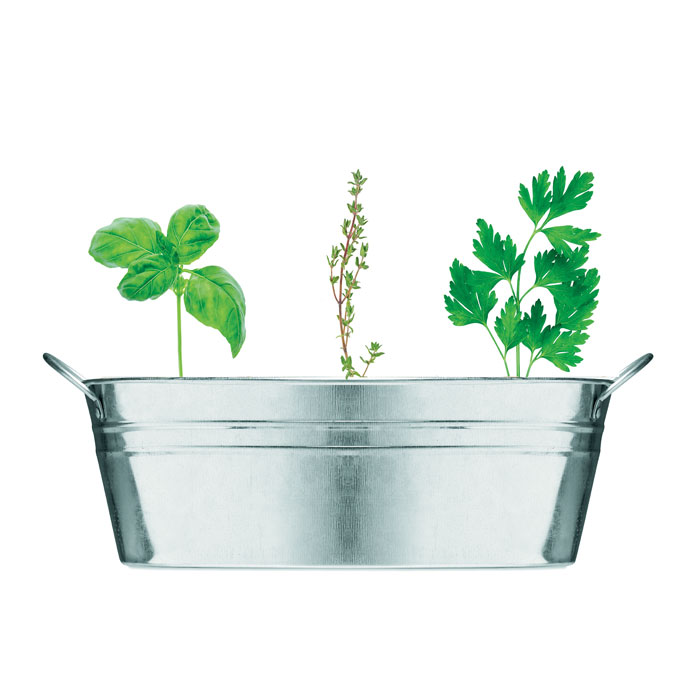 Zinc tub with 3 herbs seeds-MATT SILVER-Tasmania-australia-4